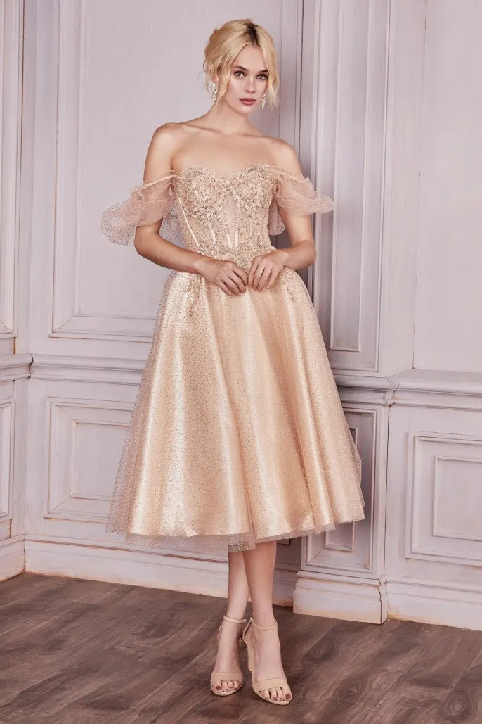 Ladivine Dress CD0187